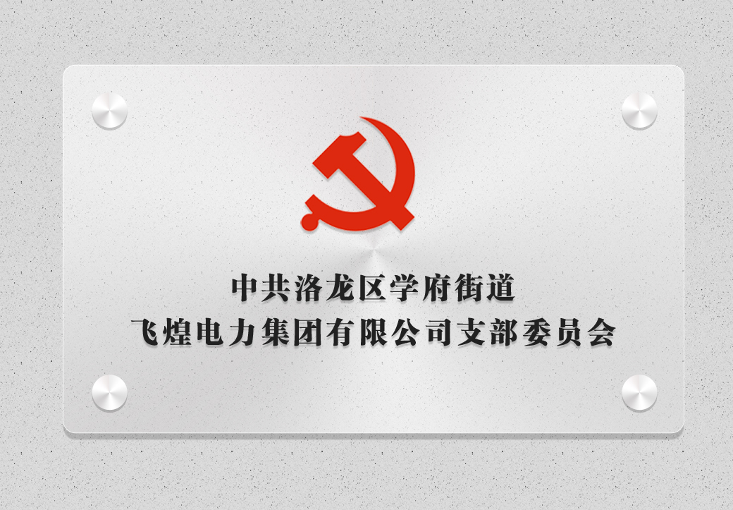 河南飛煌電力集團(tuán)有限公司黨支部獲批成立！